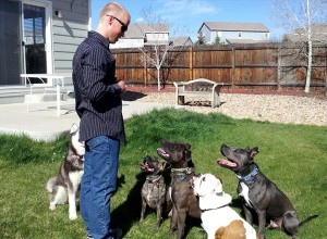 Brian Bergford Training Dogs