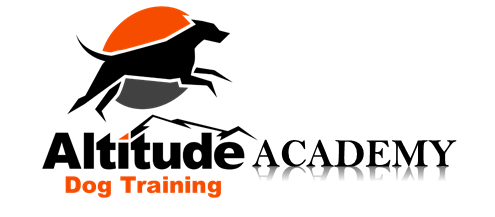 Altitude Academy pic